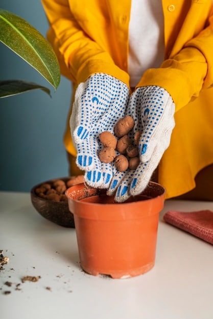 A detailed close-up of various seed packets, gardening gloves resting nearby, and a soil-filled starter tray with emerging seedlings. The focus should be on the preparation and planning stage of a DIY garden project.