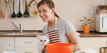 DIY Pet Care: Save $50/Month Making Food & Toys - Cover Image