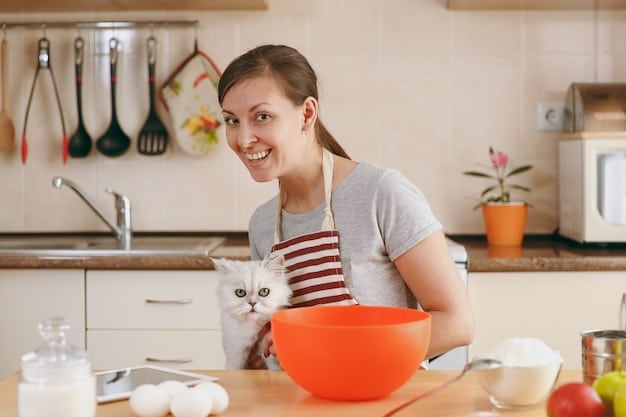 DIY Pet Care: Save $50/Month Making Food & Toys