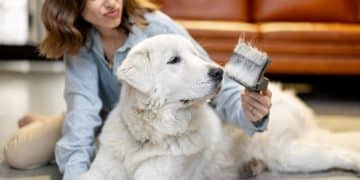 DIY Pet Care: Save $50+ on Grooming & Supplies Monthly - Cover Image