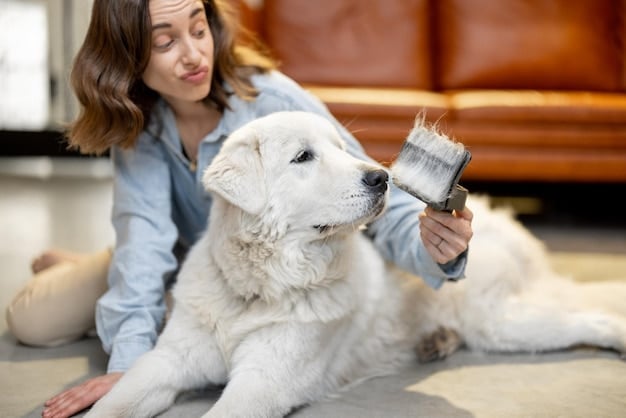 DIY Pet Care: Save $50+ on Grooming & Supplies Monthly