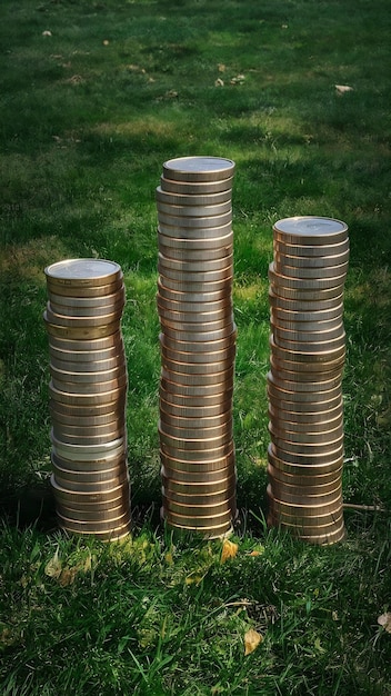 A stack of coins and dollar bills neatly arranged, symbolizing savings and financial growth. A small plant sprouts from the top, representing investment and future returns. The lighting is soft and optimistic.